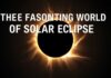 The Fascinating World of Solar Eclipses: What You Need to Know The Fascinating World of Solar Eclipses: What You Need to Know