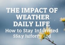 The Impact of Weather on Daily Life and How to Stay Informed The Impact of Weather on Daily Life and How to Stay Informed