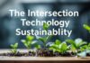 The Intersection of Technology and Sustainability: A General Overview The Intersection of Technology and Sustainability: A General Overview